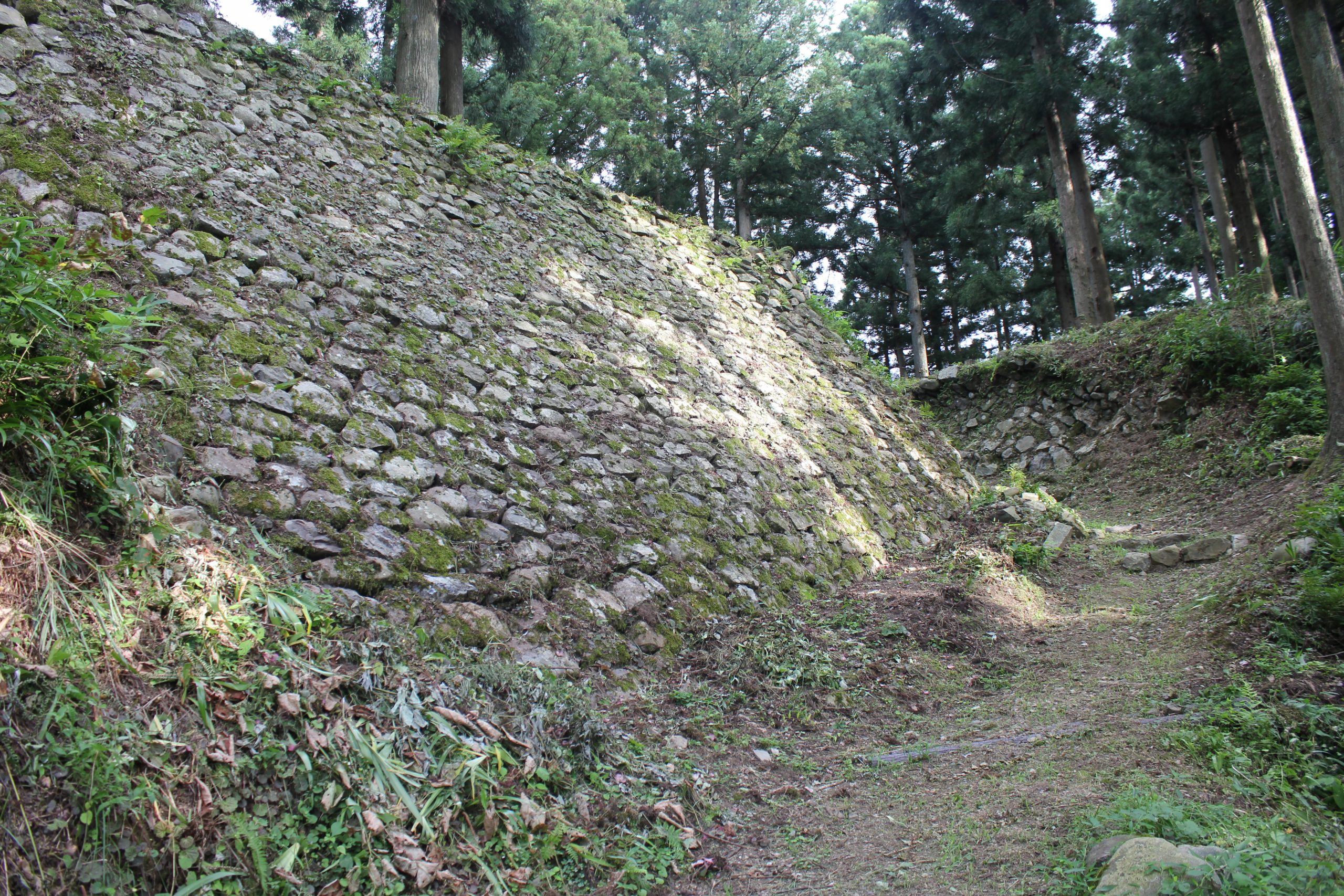 文化財詳細 | 福井県文化財ページ